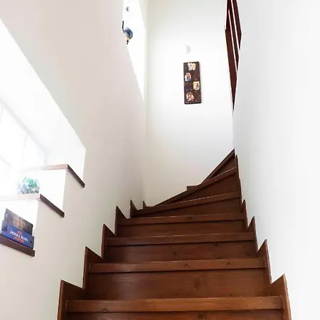 The Bird's Nest Luxury