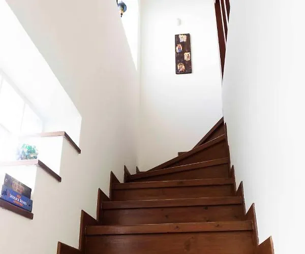 The Bird's Nest Luxury